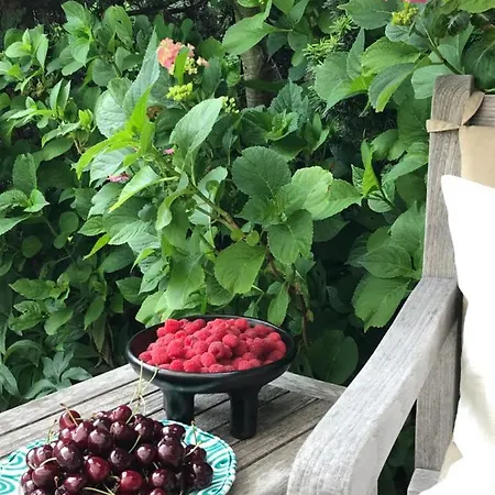 Hotel Kristiania Summer Pop Up